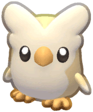 Island Adventure Flowl