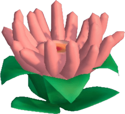 Island Adventure Blush Anemone