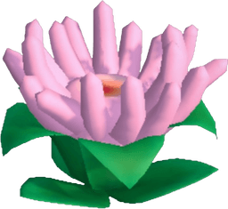 Island Adventure Cool Pink Anemone