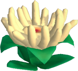 Island Adventure Cream Anemone