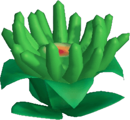 Island Adventure Green Anemone