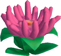 Island Adventure Hot Pink Anemone