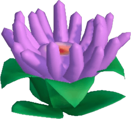 Island Adventure Lilac Anemone