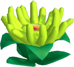 Island Adventure Lime Anemone