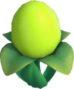 Island Adventure Lime Eggwort