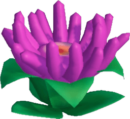 Island Adventure Magenta Anemone