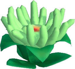 Island Adventure Mint Anemone