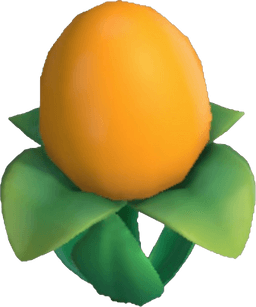 Island Adventure Orange Eggwort