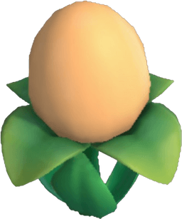 Island Adventure Peach Eggwort