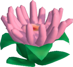Island Adventure Pink Anemone