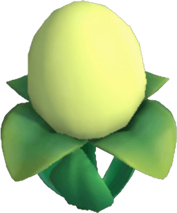 Island Adventure Pistachio Eggwort