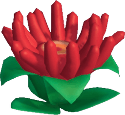 Island Adventure Red Anemone