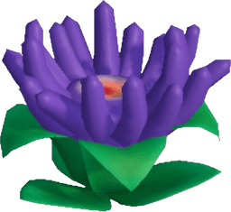 Island Adventure Violet Anemone