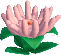 Island Adventure Warm Pink Anemone