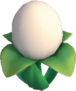 Island Adventure White Eggwort