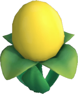 Island Adventure Yellow Eggwort