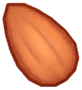 Island Adventure Toasted Almond