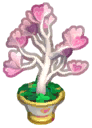 Island Adventure Heartwing Tree