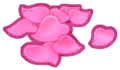 Island Adventure Rose Petals