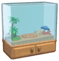 Island Adventure Seaside Terrarium