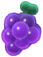 Island Adventure Grapes