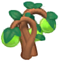 Island Adventure Lime Fruit Tree