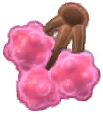 Island Adventure Lychee