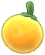 Island Adventure Orange