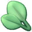 Island Adventure Tea Leaves